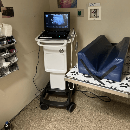 pet ultrasounds room