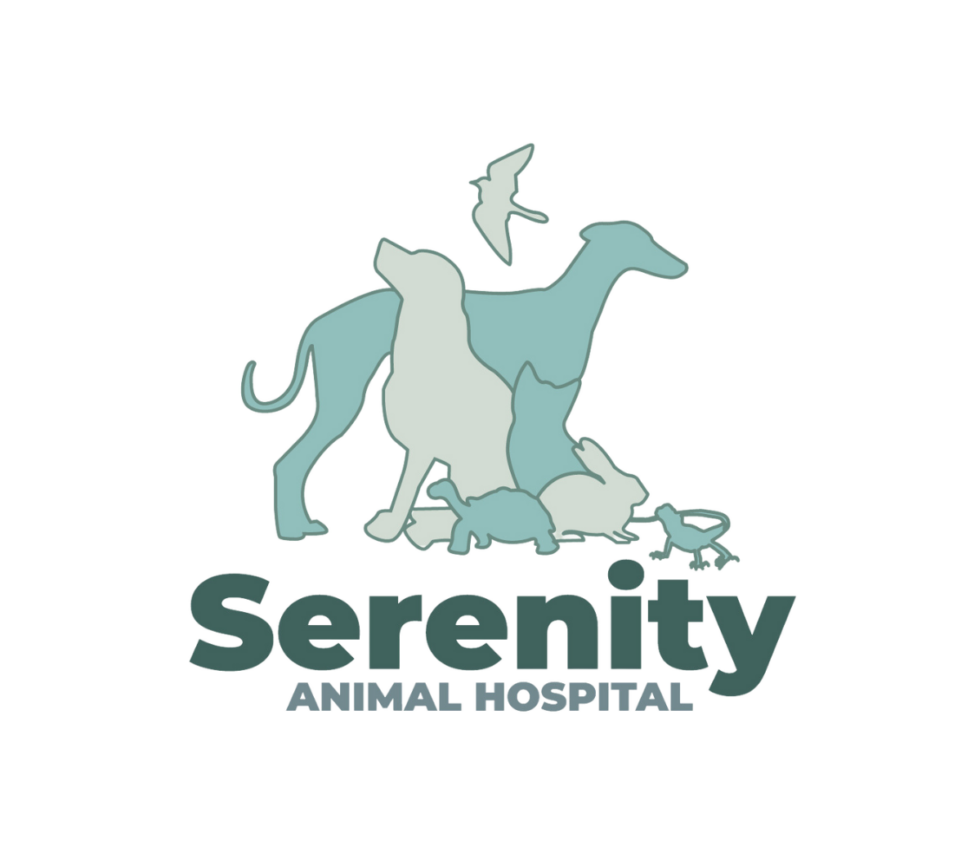 Boarding Agreement Form | Serenity Animal Hospital